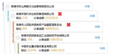 常德市東山秀峰文化發(fā)展有限責(zé)任公司 以文化為根基，打造常德軟件開發(fā)新標(biāo)桿
